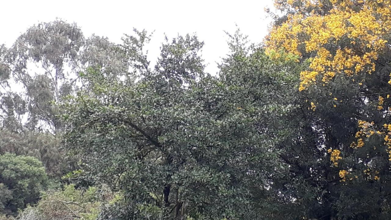 Casa Nobre Gramado Villa Luaran gambar